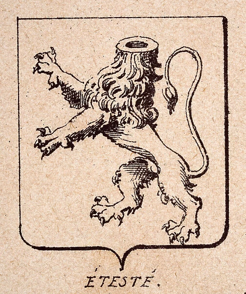 Vintage illustration, Escutcheon, or heraldic shield, Lions rampant decapitated, Eteste, Heraldry