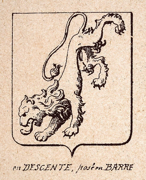 Vintage illustration, Escutcheon, or heraldic shield, Lions rampant pointing down, en descente, pose en Barre, Heraldry