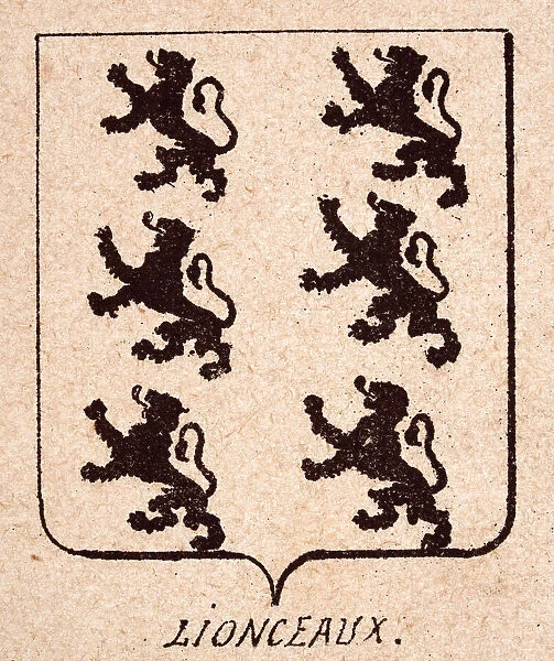 Vintage illustration, Escutcheon, or heraldic shield, Lions rampant, cubs, Lionceaux, Heraldry