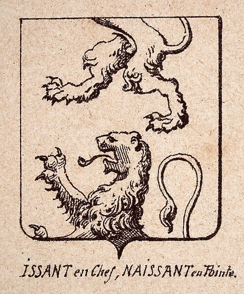Vintage illustration, Escutcheon, or heraldic shield, Lions rampant, Issant en Chef, Naissant eu Pointe, Heraldry