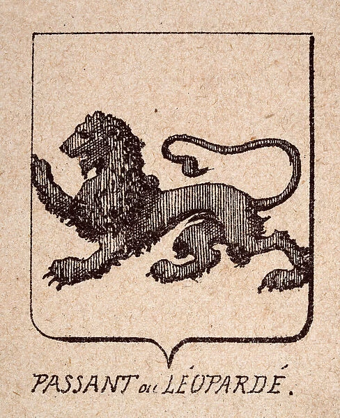 Vintage illustration, Escutcheon, or heraldic shield, Passant ou Leoparde, Heraldry