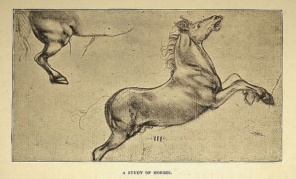 Vintage illustration, After the sketch by Leonardo da Vinci, a study of horses, Early renaissance art