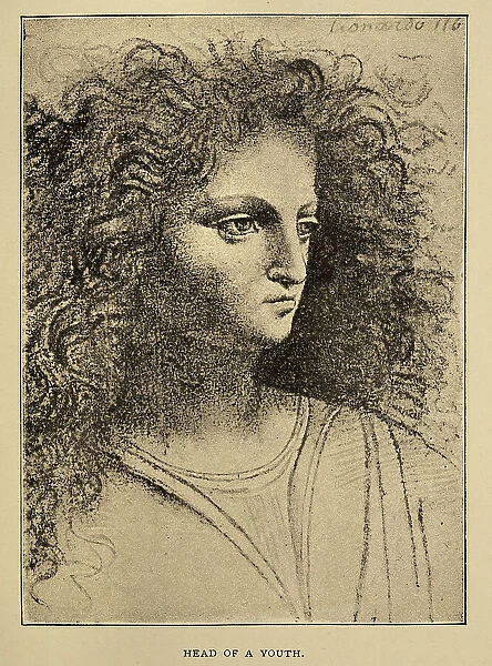 Vintage illustration, After the sketch by Leonardo da Vinci, Head of a youth, Early renaissance art