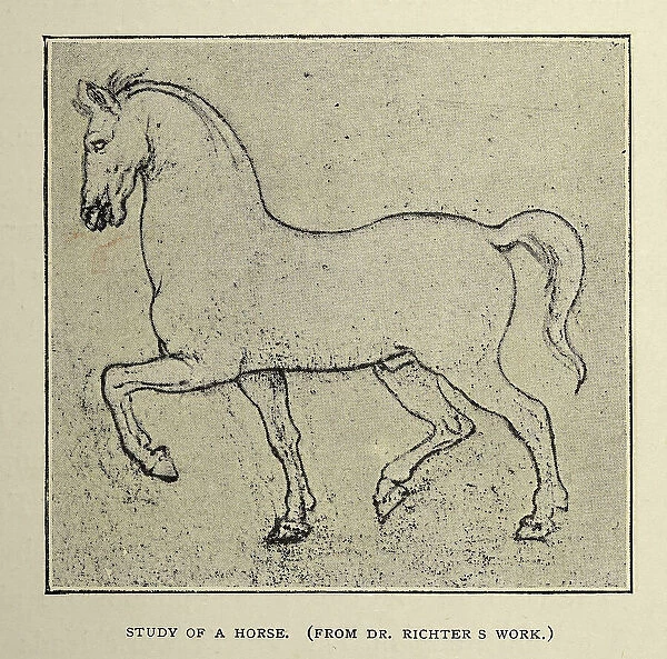 Vintage illustration, After the sketch by Leonardo da Vinci, Study of a horse, Early renaissance art