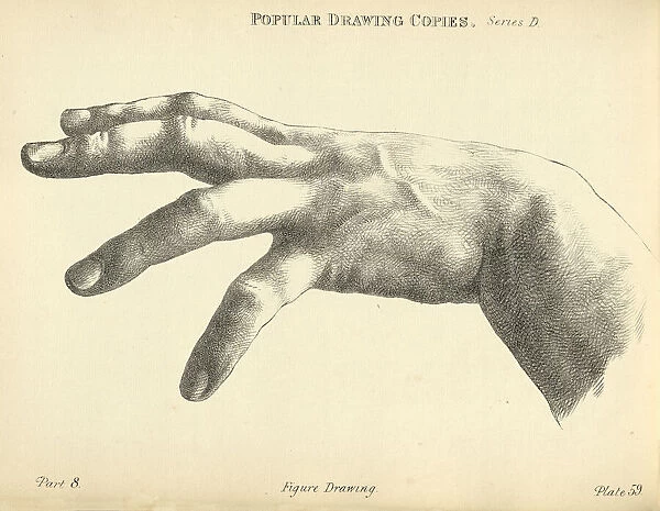 Vintage illustration of Sketching human hand with spread fingers, Victorian art figure drawing copies 19th Century