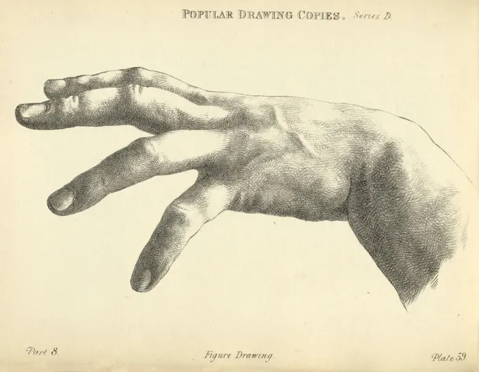 Framed Print : Vintage illustration of Sketching human hand with spread fingers, Victorian art figure drawing copies 19th Century Framed Print : Vintage illustration of Sketching human hand with spread fingers, Victorian art figure drawing copies 19th Century