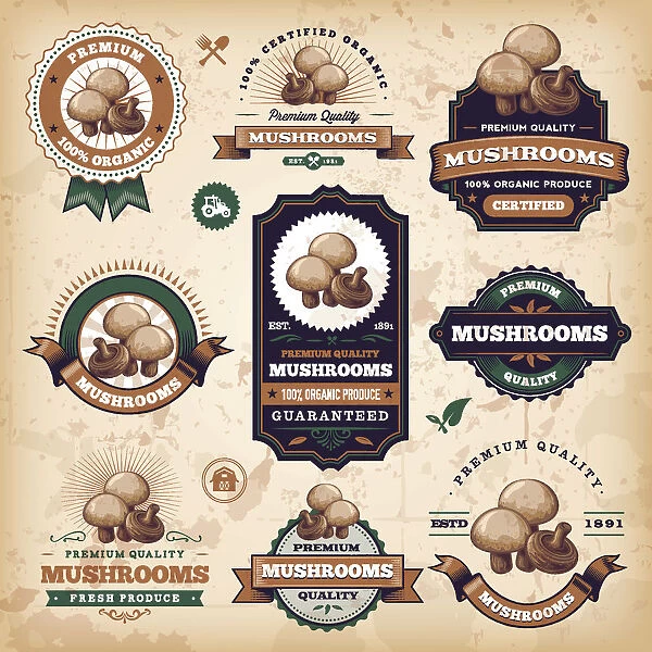 Vintage Mushroom Labels