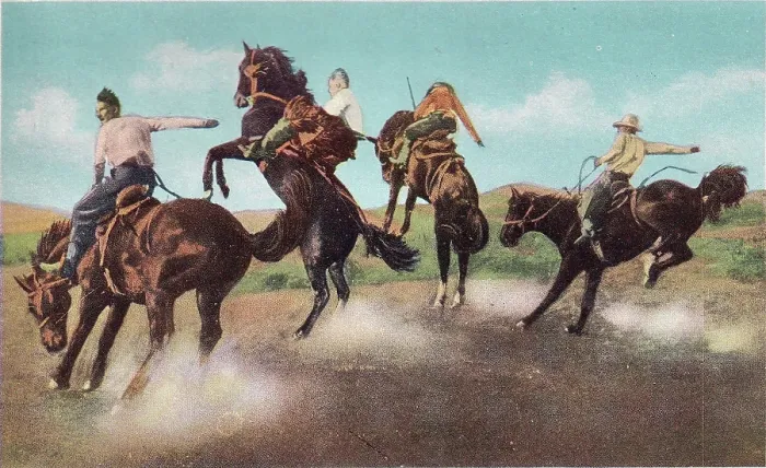 Framed Print : Vintage souvenir postcard, Bucking Broncos, Cowboy and Indian Life of the Great West series, ca 1942 Framed Print : Vintage souvenir postcard, Bucking Broncos, Cowboy and Indian Life of the Great West series, ca 1942