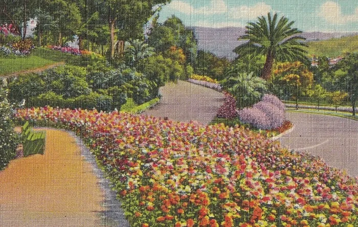 Framed Print : Vintage souvenir postcard, Elysian Park, Los Angeles Souvenir Views series, 1940 Framed Print : Vintage souvenir postcard, Elysian Park, Los Angeles Souvenir Views series, 1940