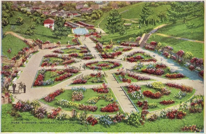 Framed Print : Vintage souvenir postcard, Morcom Rose Garden, Oakland, ca 1941 Framed Print : Vintage souvenir postcard, Morcom Rose Garden, Oakland, ca 1941