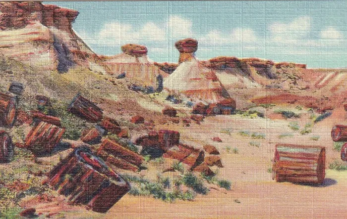 Framed Print : Vintage souvenir postcard, Petrified Forest National Park, Arizona, ca 1943