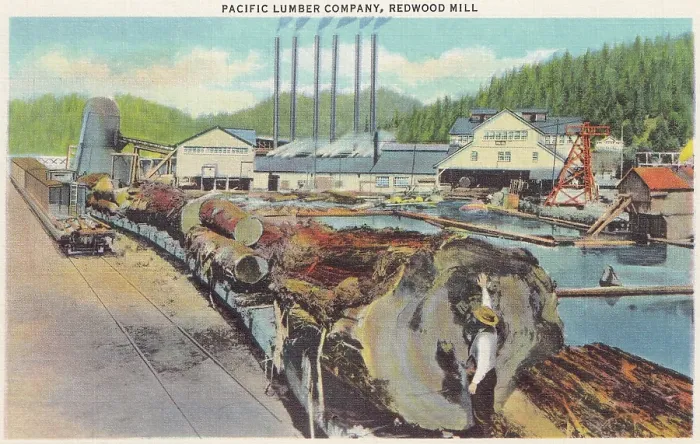 Framed Print : Vintage souvenir postcard, Redwood Highway Souvenir Views series, ca 1921 Framed Print : Vintage souvenir postcard, Redwood Highway Souvenir Views series, ca 1921