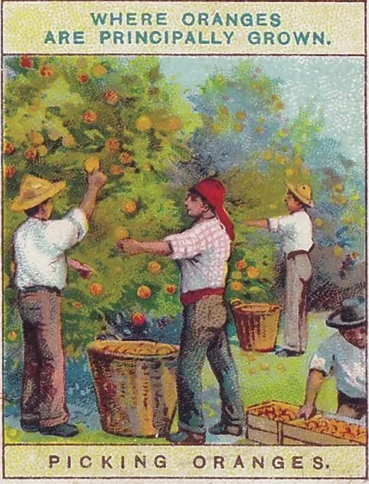 vintage tobacco posters Art: Old English Pipe Poster Vintage 