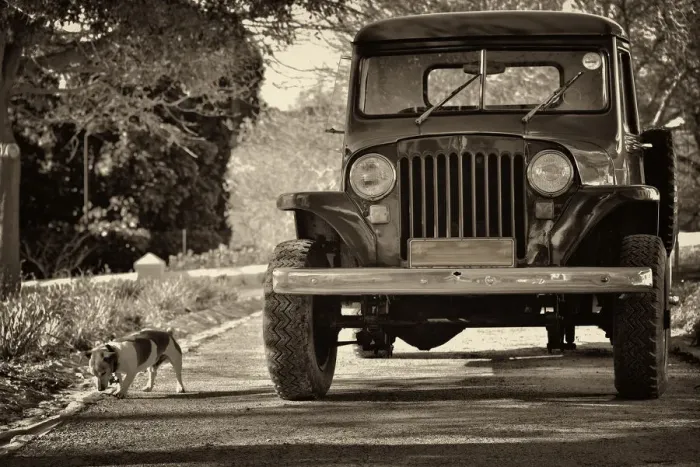 Framed Print : Vintage truck runabout. Klein Constantia, Cape Town. South Africa Framed Print : Vintage truck runabout. Klein Constantia, Cape Town. South Africa