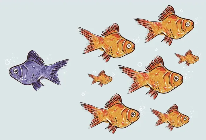 Framed Print : Violet goldfish standing out from the crowd Framed Print : Violet goldfish standing out from the crowd
