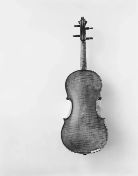 Framed Print : Violin against white background, close-up Framed Print : Violin against white background, close-up