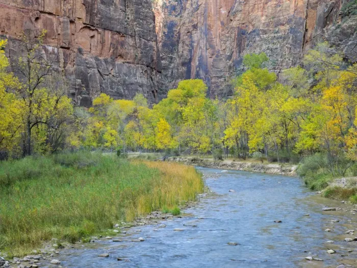 Framed Print : Virgin River, Zion National Park, Utah, USA Framed Print : Virgin River, Zion National Park, Utah, USA