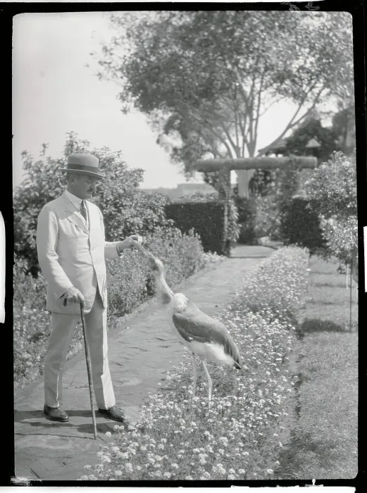 Framed Print : Viscount Allenby and Pet Stork Framed Print : Viscount Allenby and Pet Stork
