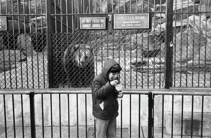 Framed Print : Visit to the Zoo Framed Print : Visit to the Zoo