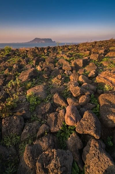 Volcanic rock at Seopjikoji coast with Seongsan background