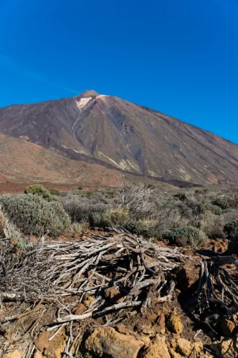 Framed Print : Volcanic soil and vegetation near Teide Framed Print : Volcanic soil and vegetation near Teide
