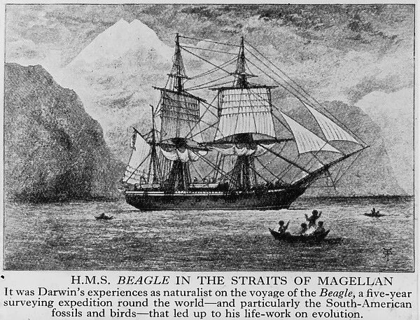 Voyage Of The Beagle