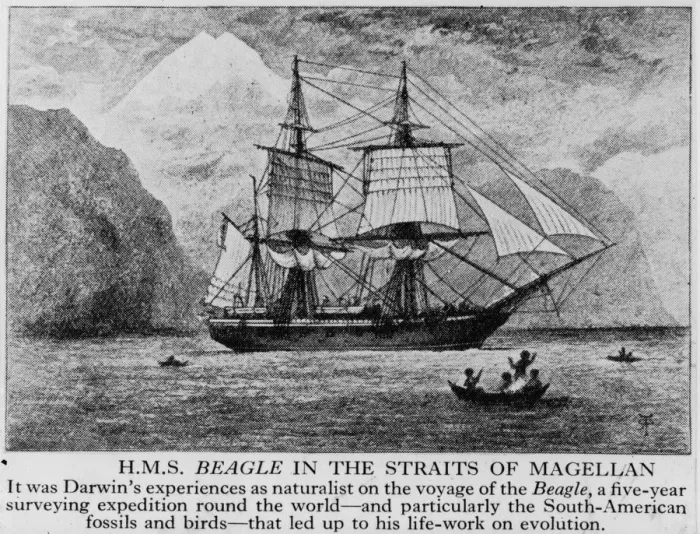 Framed Print : Voyage Of The Beagle Framed Print : Voyage Of The Beagle