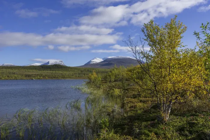 Framed Print : Vuolio Njahkajavri Lake, Lapporten trough valley, glacial trough, at the back, Abisko National Park, Norrbotten County, Sweden Framed Print : Vuolio Njahkajavri Lake, Lapporten trough valley, glacial trough, at the back, Abisko National Park, Norrbotten County, Sweden