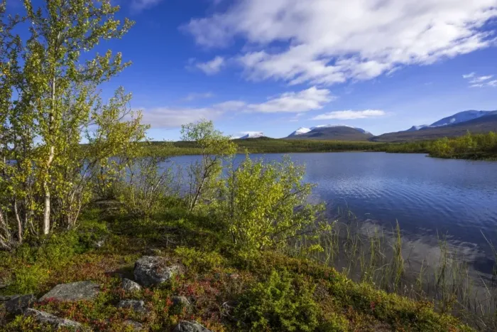 Framed Print : Vuolio Njahkajavri Lake, Lapporten trough valley, glacial trough, at the back, Abisko National Park, Norrbotten County, Sweden Framed Print : Vuolio Njahkajavri Lake, Lapporten trough valley, glacial trough, at the back, Abisko National Park, Norrbotten County, Sweden
