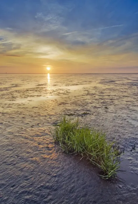 Framed Print : Wadden Sea, North Sea, Wremer Tief, Wremen, Lower Saxony, Germany - IMPORTANT Non exclusive usage, retail calendar, 2015, territory Germany, Austria, Switzerland - Framed Print : Wadden Sea, North Sea, Wremer Tief, Wremen, Lower Saxony, Germany - IMPORTANT Non exclusive usage, retail calendar, 2015, territory Germany, Austria, Switzerland -