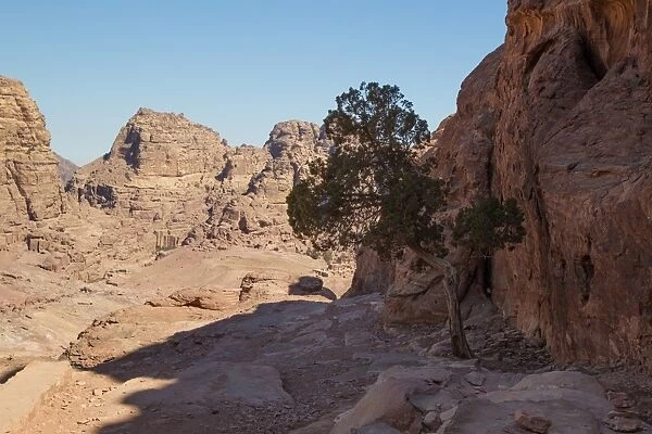 Wadi al Farasa, Petra