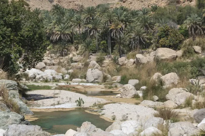 Framed Print : Wadi Tiwi, surrounded by palm trees, Tiwi, Hajar Mountains, Ash Sharqiyah Region, Oman