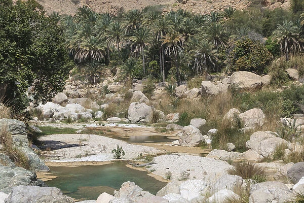 Wadi Tiwi, surrounded by palm trees, Tiwi, Hajar Mountains, Ash Sharqiyah Region, Oman
