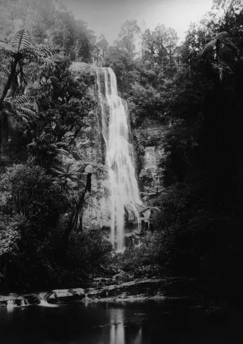 Framed Print : Waitakere Falls Framed Print : Waitakere Falls