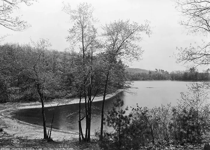 Framed Print : Walden Pond from Henry David Thoreau's Hut Framed Print : Walden Pond from Henry David Thoreau's Hut
