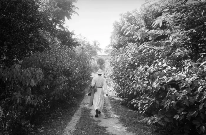 Framed Print : Walking In Assam Framed Print : Walking In Assam