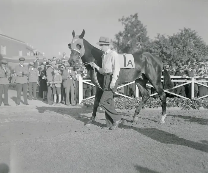 Framed Print : Walking Racehorse Seabiscuit Around Track Framed Print : Walking Racehorse Seabiscuit Around Track