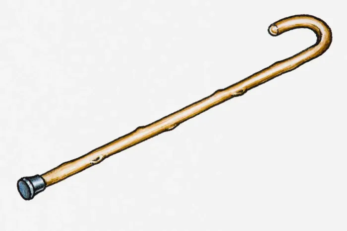 Framed Print : Walking stick Framed Print : Walking stick