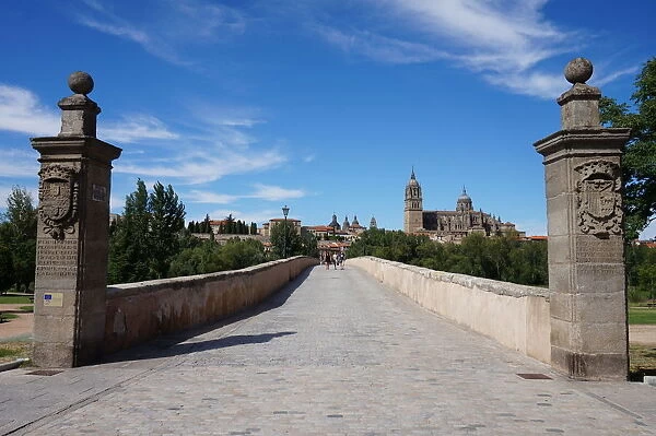 Walkway and Columns, Roman Bridge, Old city, Salamanca, Spain