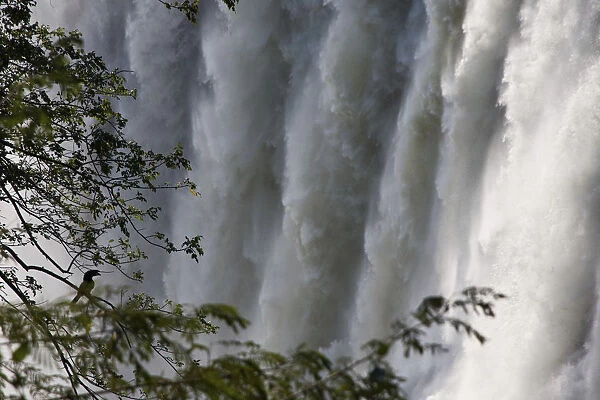 Wall of water, Victoria Falls, Livingstone, Zambia