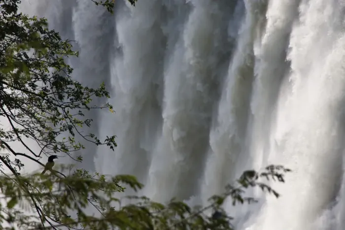 Framed Print : Wall of water, Victoria Falls, Livingstone, Zambia