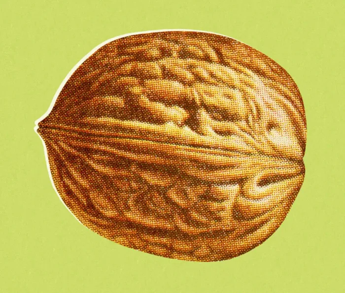 Framed Print : Walnut