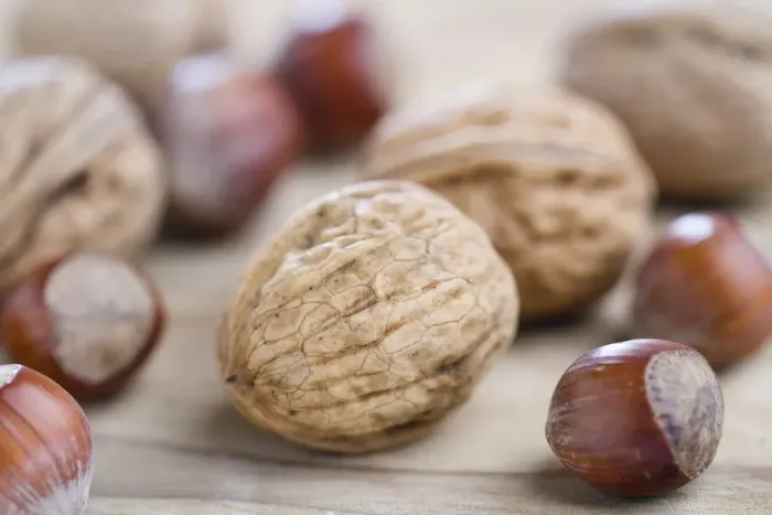 Framed Print : Walnuts and hazelnuts Framed Print : Walnuts and hazelnuts