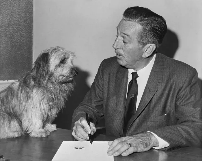 Framed Print : Walt Disney Signing Dog's Movie Contract Framed Print : Walt Disney Signing Dog's Movie Contract