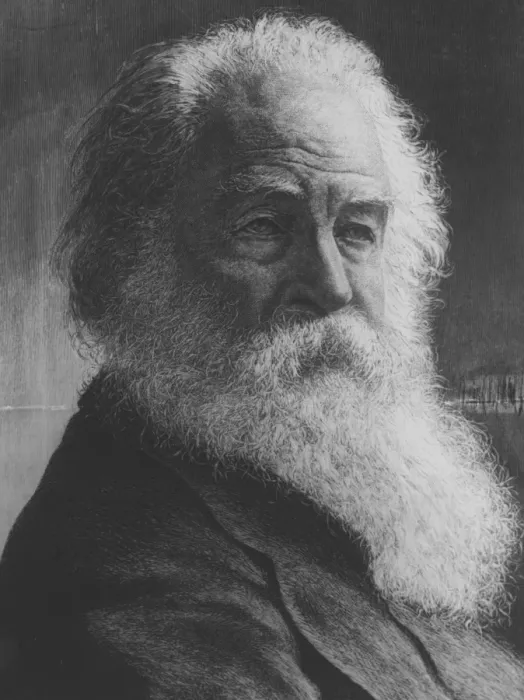 Framed Print : Walt Whitman Framed Print : Walt Whitman