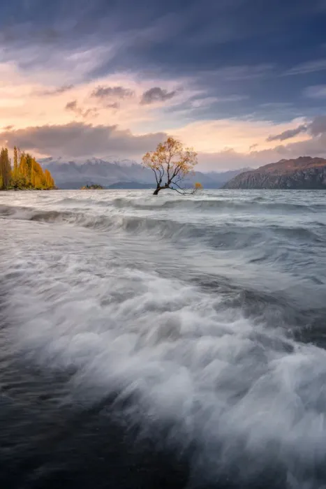 Framed Print : That Wanaka Tree at sunset Wanaka, New Zealand Framed Print : That Wanaka Tree at sunset Wanaka, New Zealand