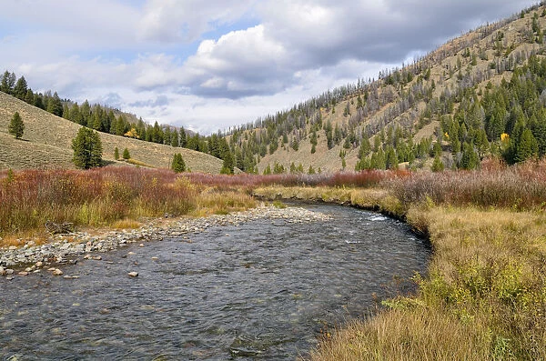 Warm Springs Creek, downstream, Ketchum, Idaho, USA