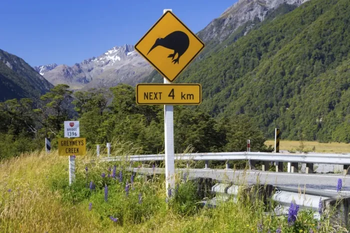Framed Print : Warning sign, Kiwis next 4km at Greyneys Creek, looking towards Mt. Oates, 2041m, Canterbury Region, New Zealand Framed Print : Warning sign, Kiwis next 4km at Greyneys Creek, looking towards Mt. Oates, 2041m, Canterbury Region, New Zealand
