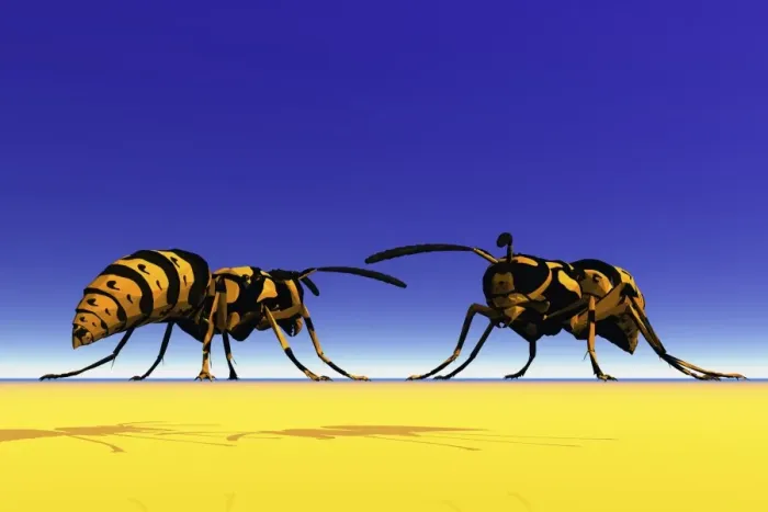 Framed Print : Two wasps, 3D graphics Framed Print : Two wasps, 3D graphics