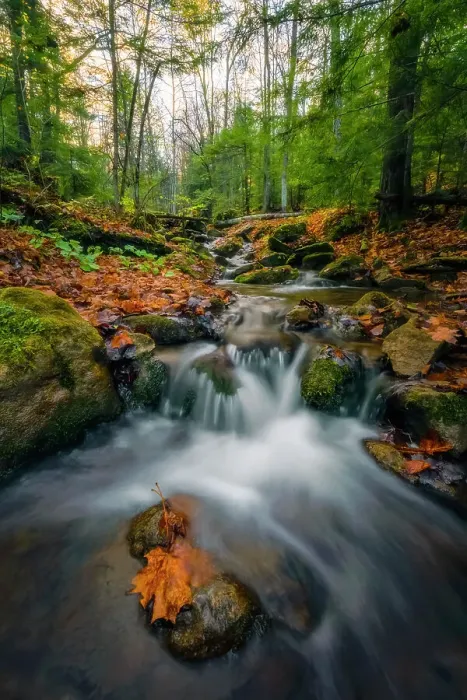 Framed Print : Water cascading over rocks in an autumn landscape Framed Print : Water cascading over rocks in an autumn landscape